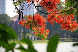 Melodías de verano